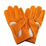 Seftey Gloves
